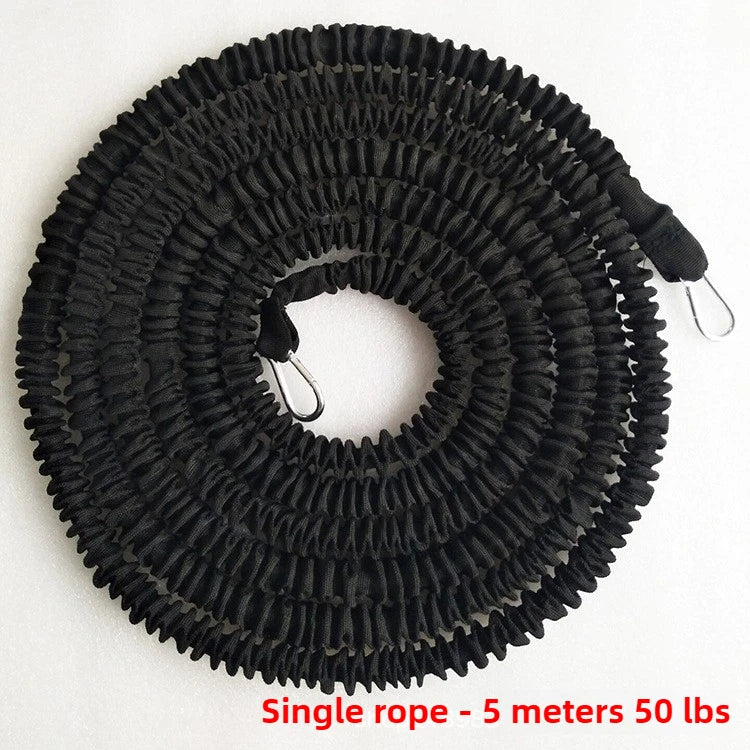 Wellsem Endurance Training Resistance Rope And Dual Strength Band